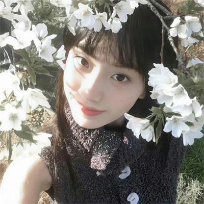 星蝶公主第四季